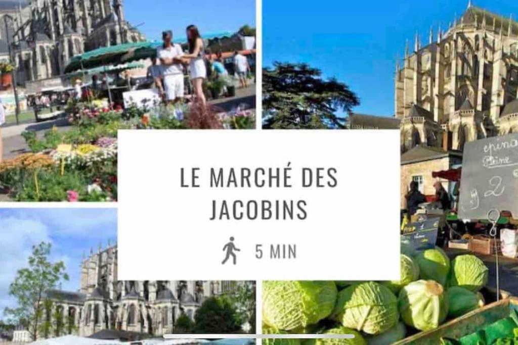 Appartements De Standing Centre Ville, Gare, Jardin,Terrasse Le Mans Bagian luar foto